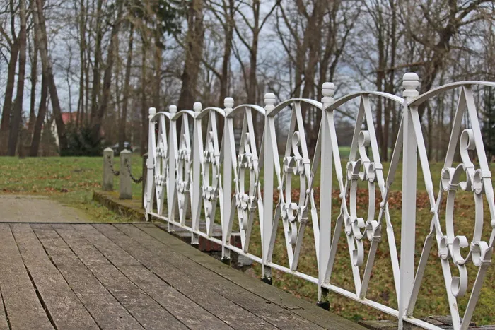 桥，公园桥，公园，步行，森林，自然，树木，小径