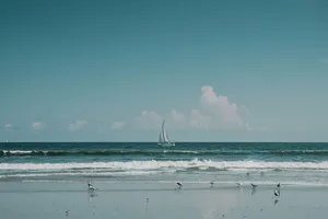 帆船，海滨，白天，白色，中部，海洋，晴朗，蓝色