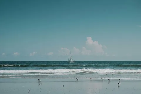帆船,海滨,白天,白色,中部,海洋,晴朗,蓝色 帆船,海滨,白天,白色,中部,海洋,晴朗,蓝色