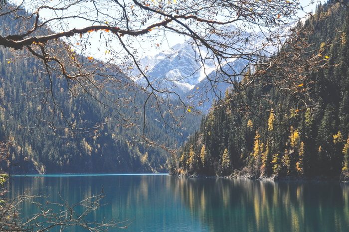湖、水、山、山、树、自然、山水、五花湖
