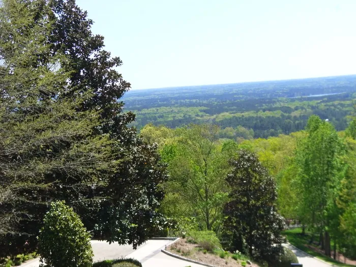 美国，教堂山，州长俱乐部，从爱德华兹山顶俯瞰，查塔姆，北卡罗来纳州，树，植物