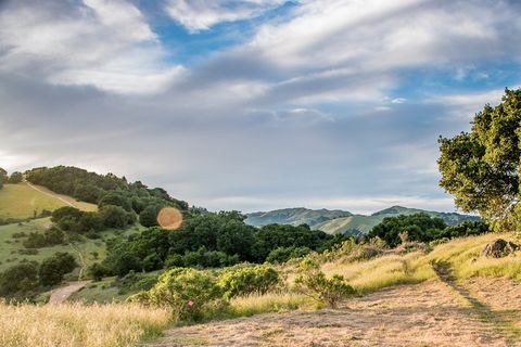 美国, 圣拉斐尔, 特拉琳达, 加利福尼亚州, 和平, 安静, 太阳耀斑, 行走