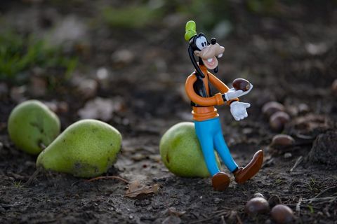 迪士尼，秋天，高飞，静物，季节，水果，人类表现，一天