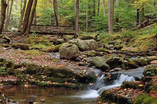 一座木桥在新泽西州特拉华水沟边的一个小卡萨德附近穿过邓恩菲尔德河。