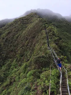 美国，奥阿湖，高山，树木，夏威夷，徒步旅行，风景——自然，自然之美