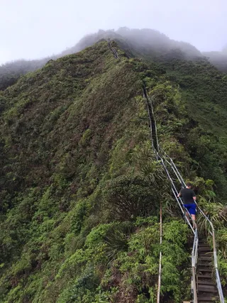美国，奥阿湖，高山，树木，夏威夷，徒步旅行，风景——自然，自然之美