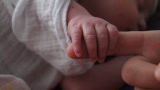 美国, 丹佛, 手, 婴儿, 手, 触摸, 人的手, 菜鸟图库