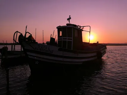 葡萄牙, 阿连特茹, 埃武拉, 假期, 建设, 里斯本, 景观, 查看