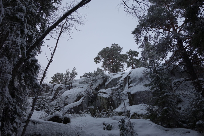 冬季森林, 岩石, 雪, 岩石, 景观, 森林, 山, 旅游