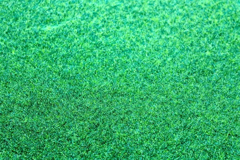 图案、草、绿色、颜色、明亮、干净、特写、整洁