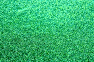 图案、草、绿色、颜色、明亮、干净、特写、整洁