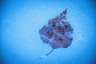 冷冻、冰、冬季、lief、表面、纹理、特写、水