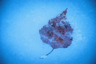 冷冻、冰、冬季、lief、表面、纹理、特写、水