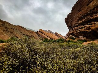美国，金色，贸易站小径，云天，天空，自然之美，植物，自然