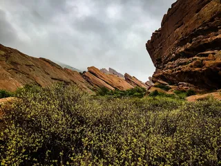 美国，金色，贸易站小径，云天，天空，自然之美，植物，自然