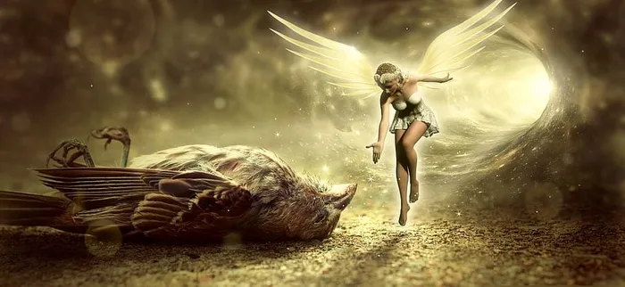幻想，鸟，死亡，天使，精灵，费，隧道，光