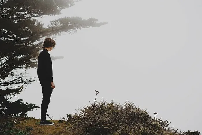 男人，站着，绿色，叶子，树，黑色，长袖