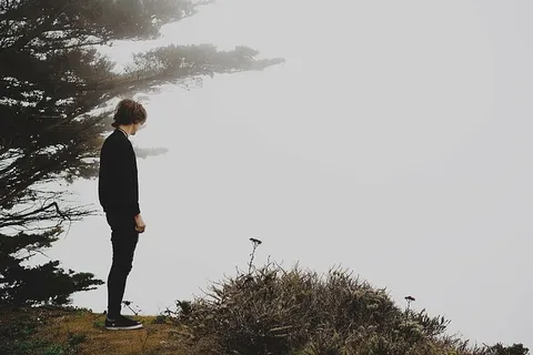 男人，站着，绿色，叶子，树，黑色，长袖