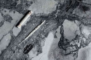 来自贩毒集团的Netflix毒枭