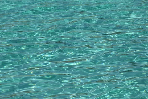 荡漾的水体 荡漾的水体