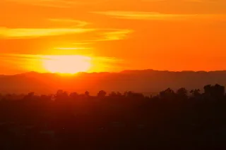 剪影, 树, 山, 金, 小时, 日落, 好莱坞, 洛杉矶