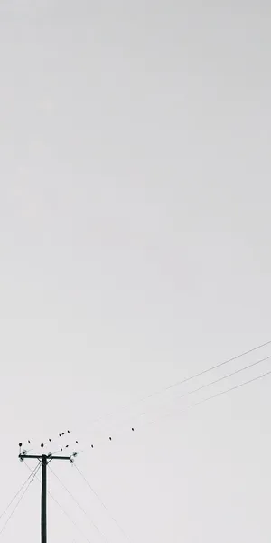 白云下的输电所