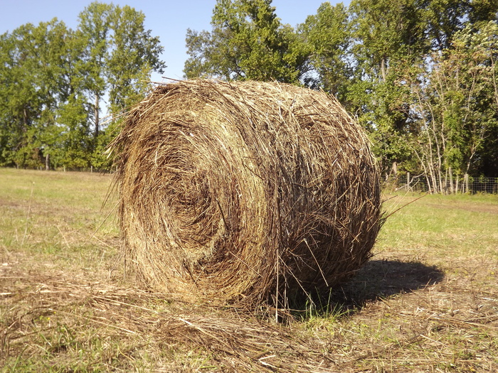 草堆，农场，干草，草堆，草堆，paja，pajar，granja