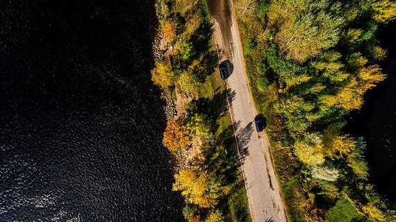 水体上树木间道路的航空摄影