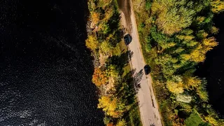 水体上树木间道路的航空摄影