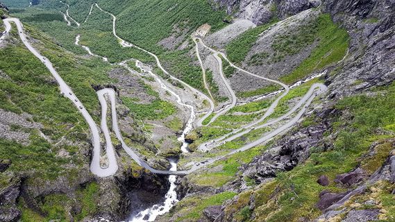 挪威2017，峡湾国家公园，挪威峡湾，植物，风景-自然，自然之美，树木，非城市景观