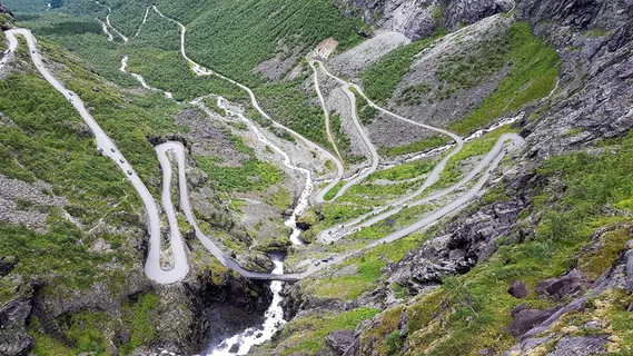 挪威2017，峡湾国家公园，挪威峡湾，植物，风景-自然，自然之美，树木，非城市景观