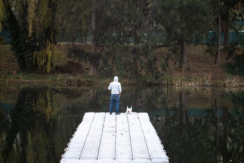 人，沉思，背，反思，户外，看，河流，水