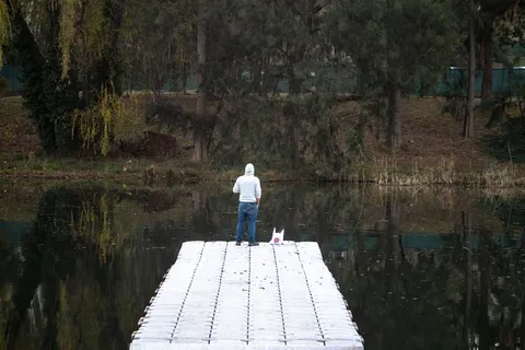 人，沉思，背，反思，户外，看，河流，水