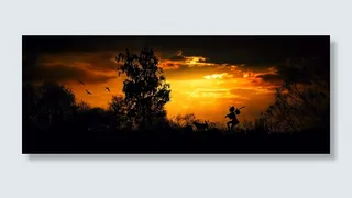 人，搬运，包，行走，草画，流浪者，流浪者，行走