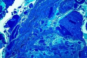 蓝色、白色、数字、壁纸、水、艺术、油漆、艺术家