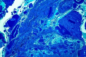 蓝色、白色、数字、壁纸、水、艺术、油漆、艺术家