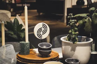 白烛旁白盆绿叶植物