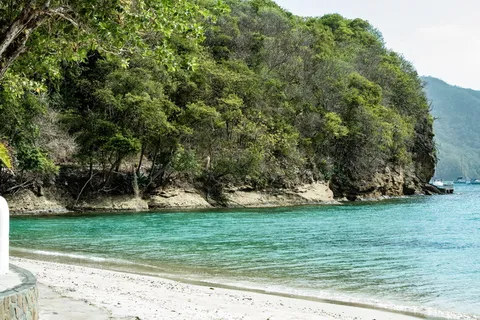 贝基亚,圣文森特和格林纳丁斯,白沙滩,沙滩,加勒比海,水,海,树 贝基亚,圣文森特和格林纳丁斯,白沙滩,沙滩,加勒比海,水,海,树