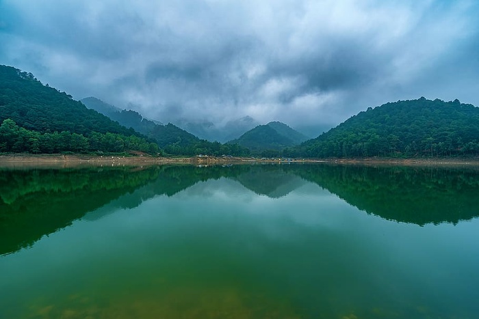 云、黎明、雾、森林、绿色、丘陵、湖泊、风景