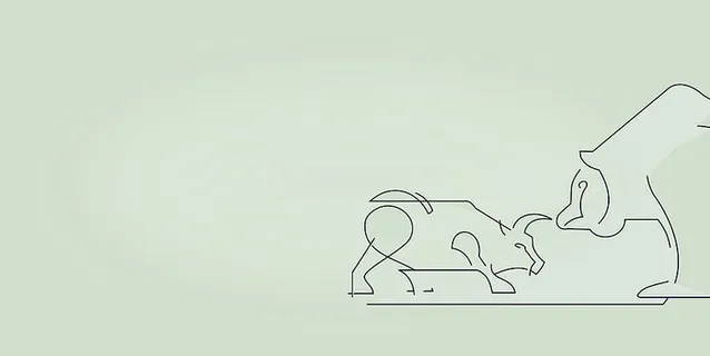 金融概念-牛市和熊市-与版权空间-轻版