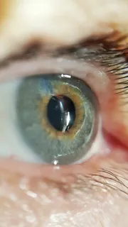 眼睛、睫毛、绿色、老年、女性、女性、化妆、贴身 眼睛、睫毛、绿色、老年、女性、女性、化妆、贴身