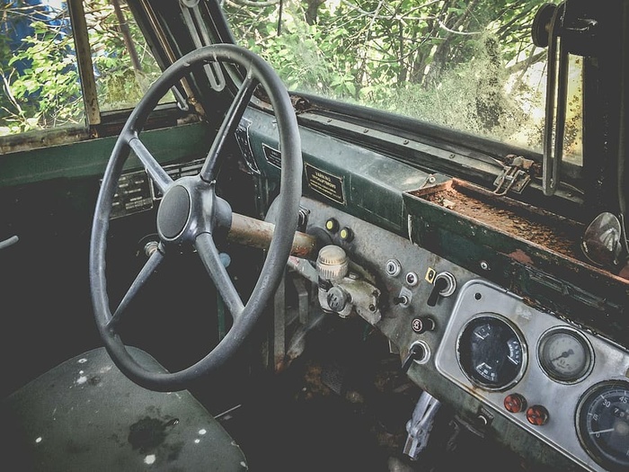 黑色方向盘，黑色，绿色，汽车，附近，树木，白天，卡车
