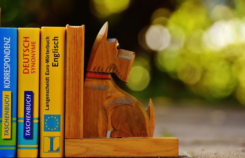 棕色, 狗木雕书挡, 旁边, 三, 教科书, 书挡, 狗, 书籍