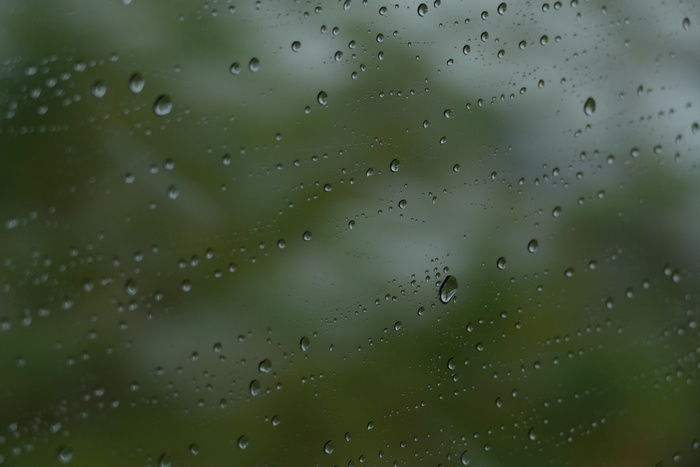 抽象, 雨, 无形, 下降, 质地, 露水, 水, 湿