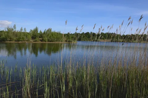 湖,水,自然,风景,灰尘,芦苇,蓝色,户外 湖,水,自然,风景,灰尘,芦苇,蓝色,户外
