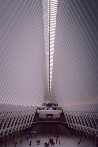 黄金时段大楼内的人