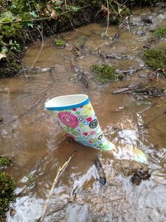 水麦克唐纳，雨，靴子，橡胶靴，脚印，鞋子，乐趣，粉红色