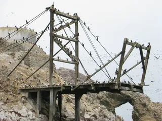 Ballestas Islands，Pisco，秘鲁，Paracas，Pisco，秘鲁，无人，白天，户外