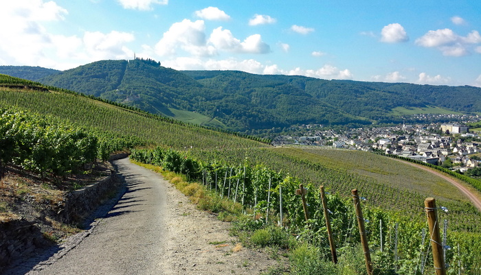 Bernkastel、Cues、Mosel、Sachsen、德国、wine、wetinberge、landscape