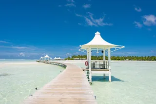 码头附近的露台